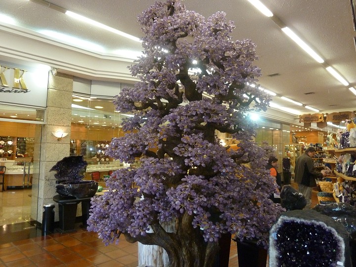 img00020.jpg