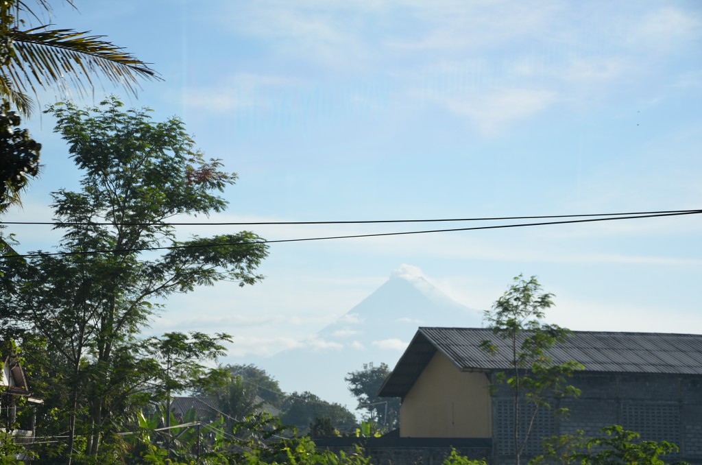 img00005.jpg