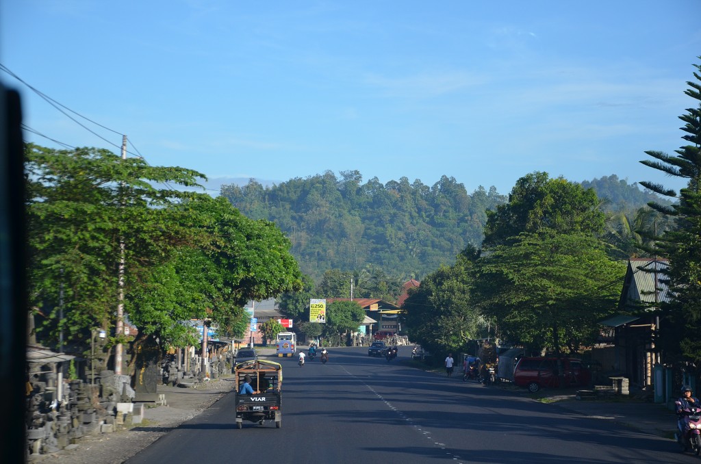 img00010.jpg