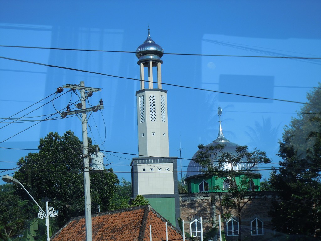 img00013.jpg