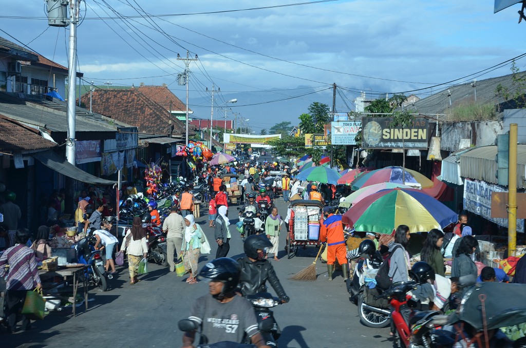 img00015.jpg