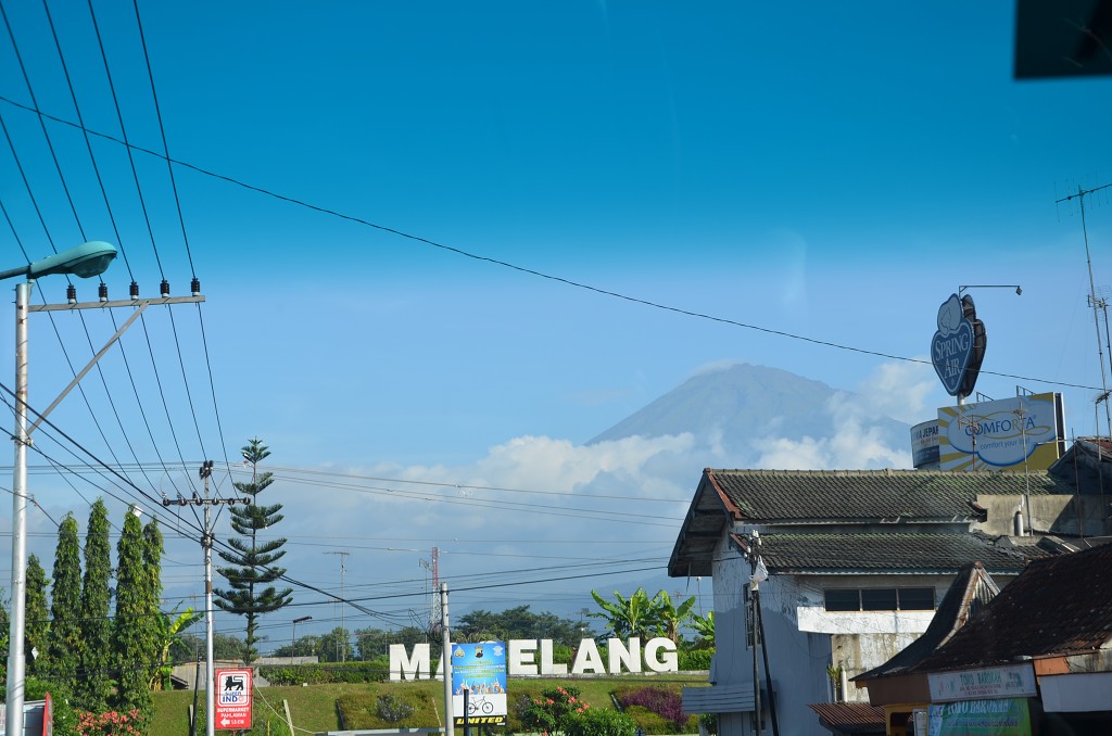 img00019.jpg