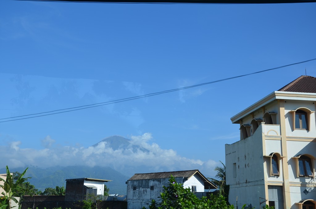 img00020.jpg