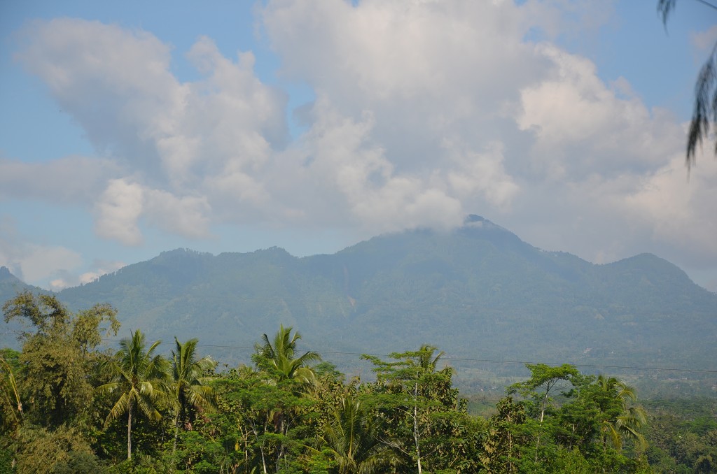 img00022.jpg