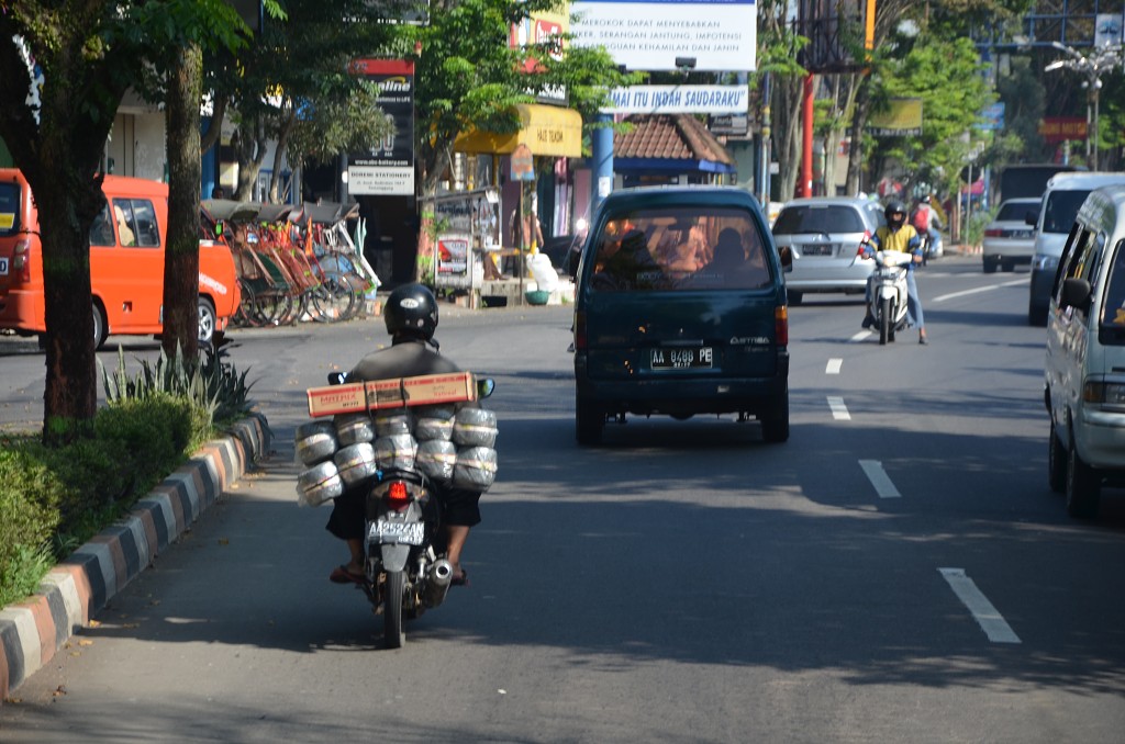 img00024.jpg