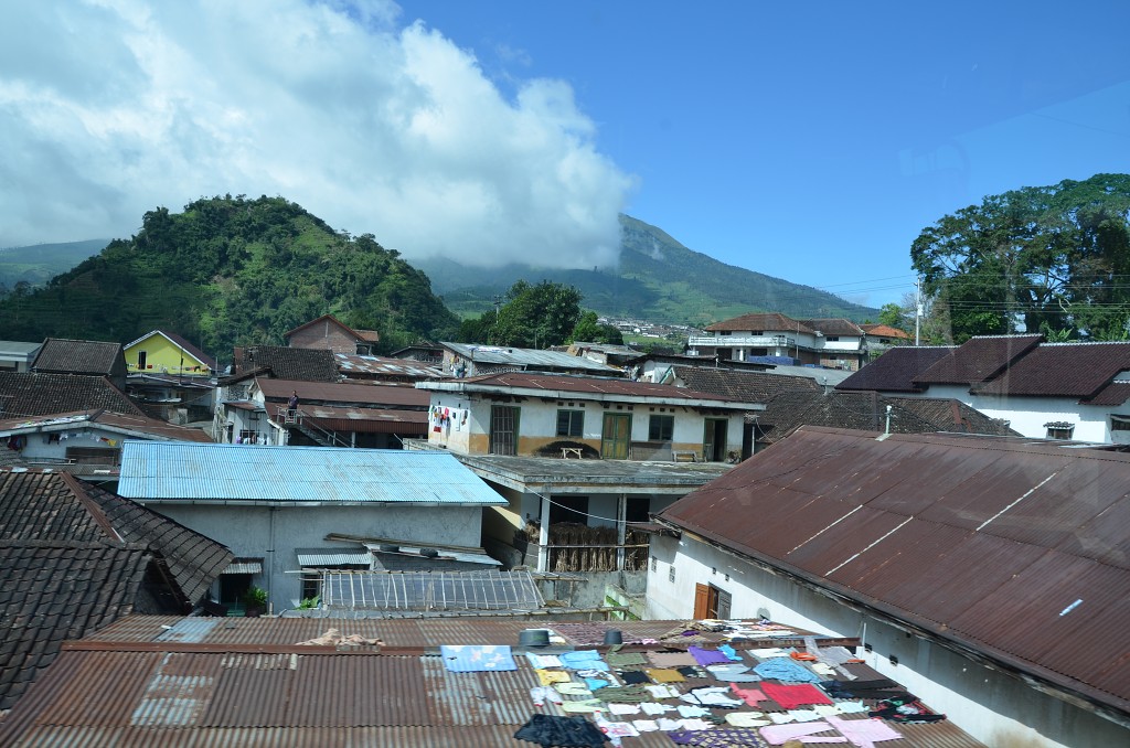 img00031.jpg