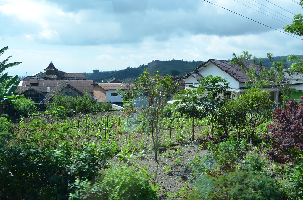img00032.jpg