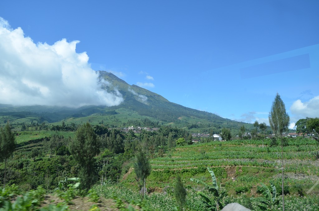 img00034.jpg