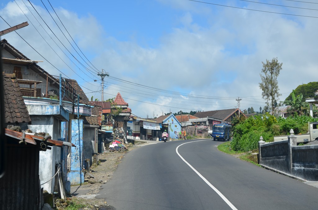 img00036.jpg