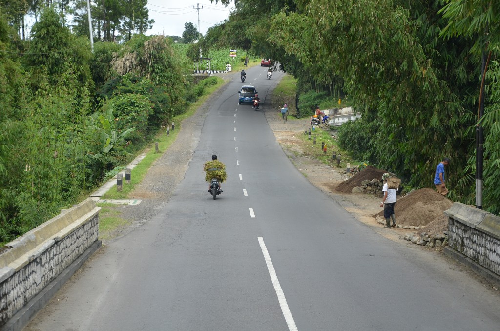 img00041.jpg
