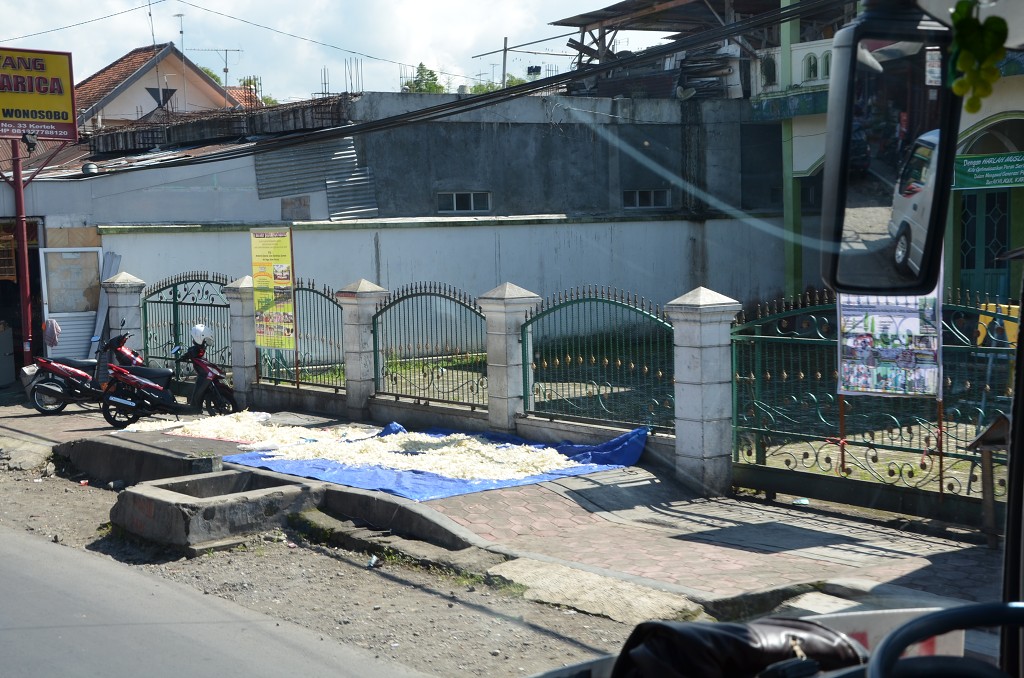 img00049.jpg