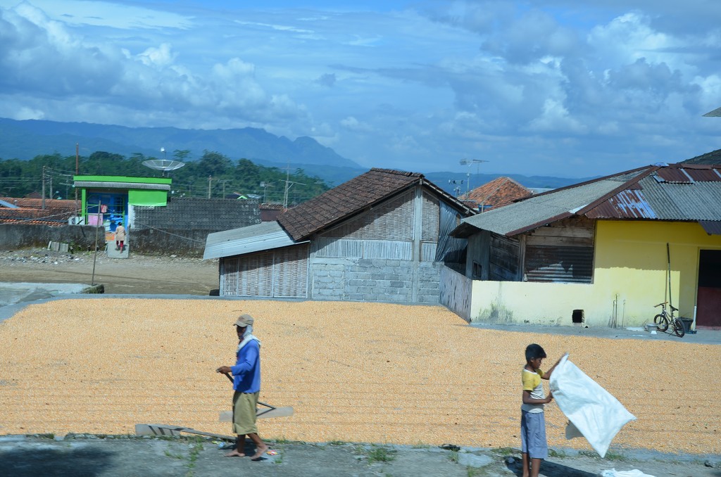img00050.jpg