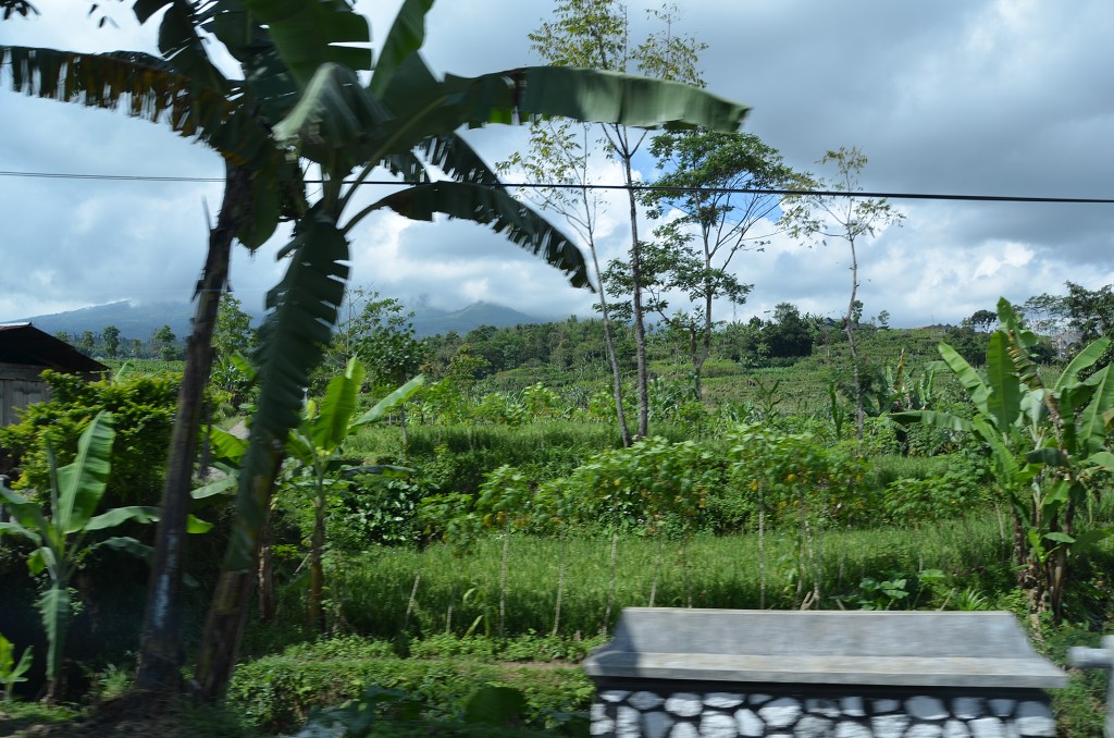 img00066.jpg