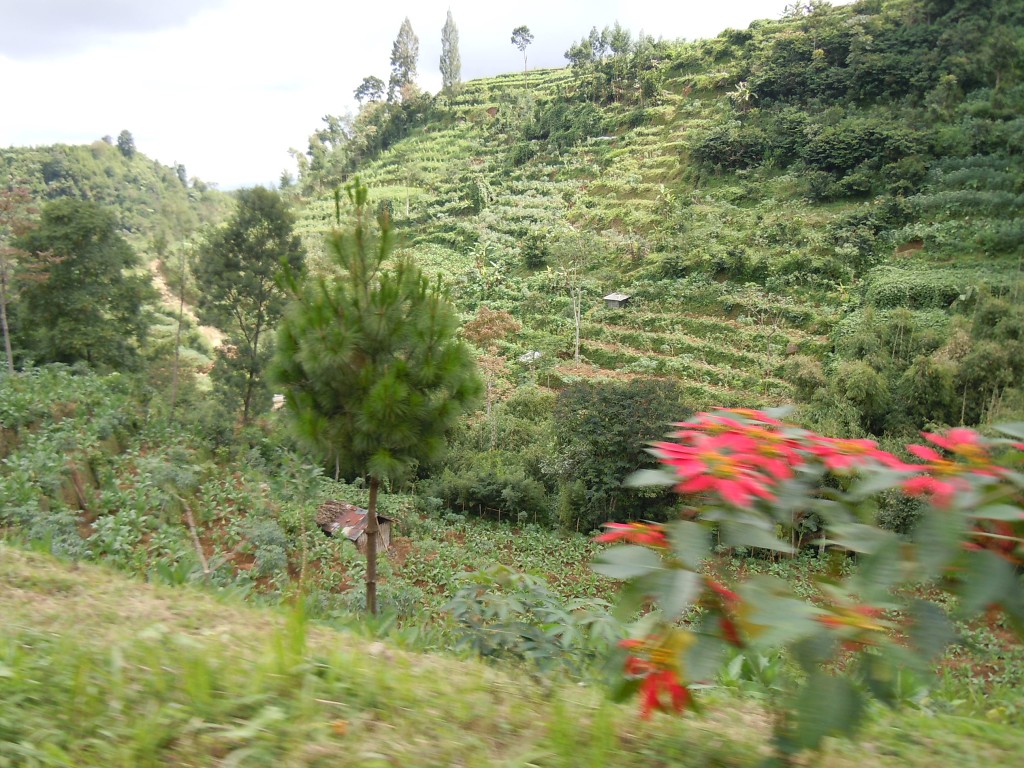 img00079.jpg