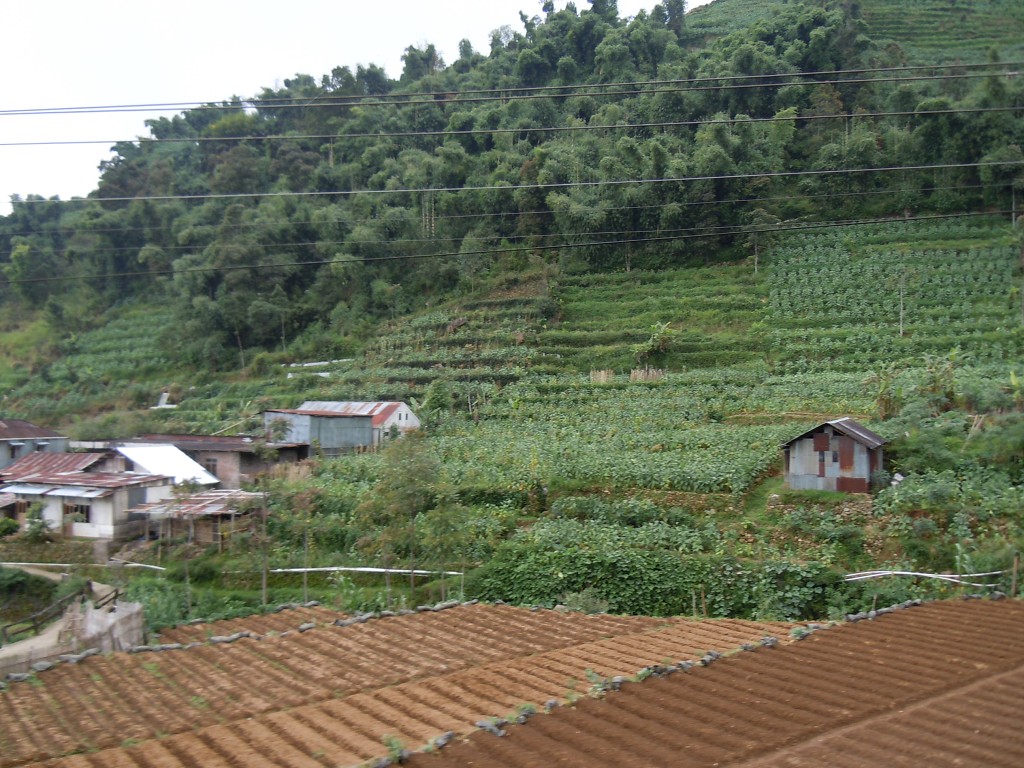 img00086.jpg