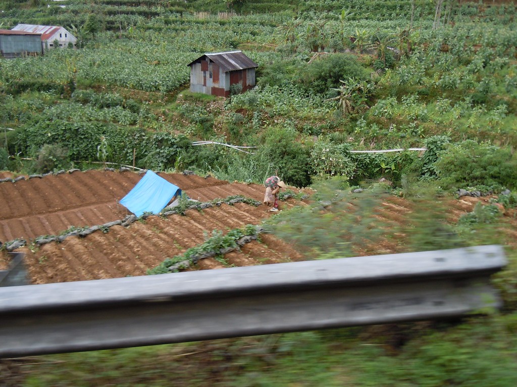 img00087.jpg