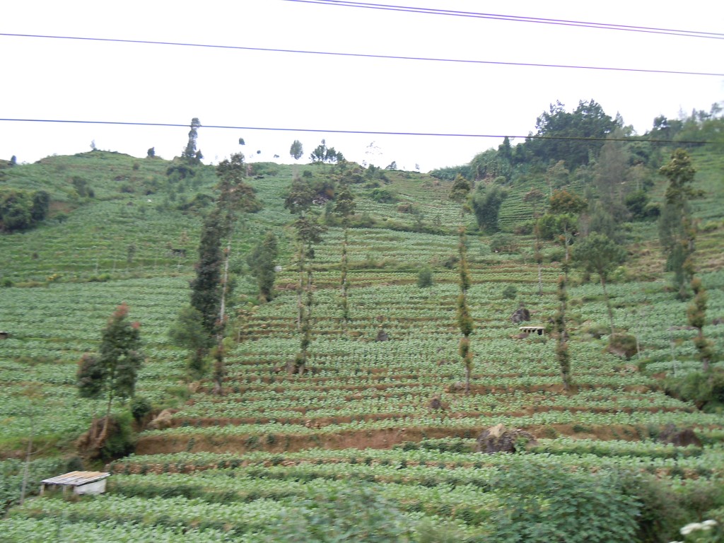 img00088.jpg