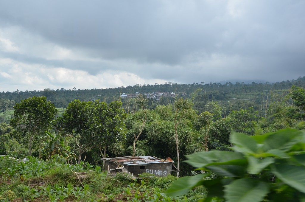 img00089.jpg