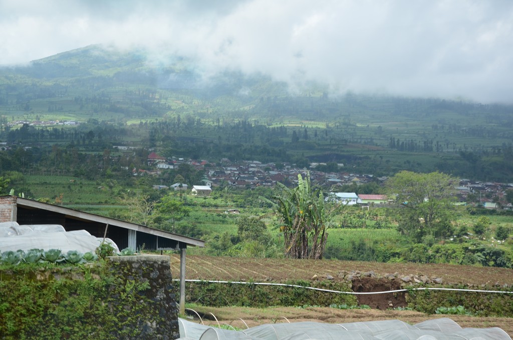 img00090.jpg