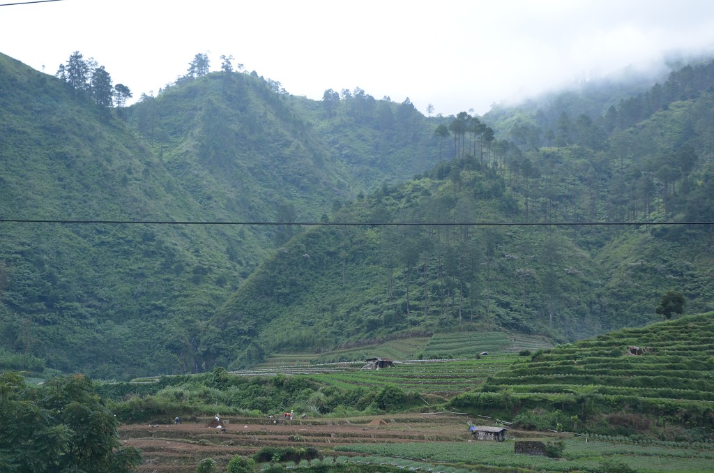 img00095.jpg