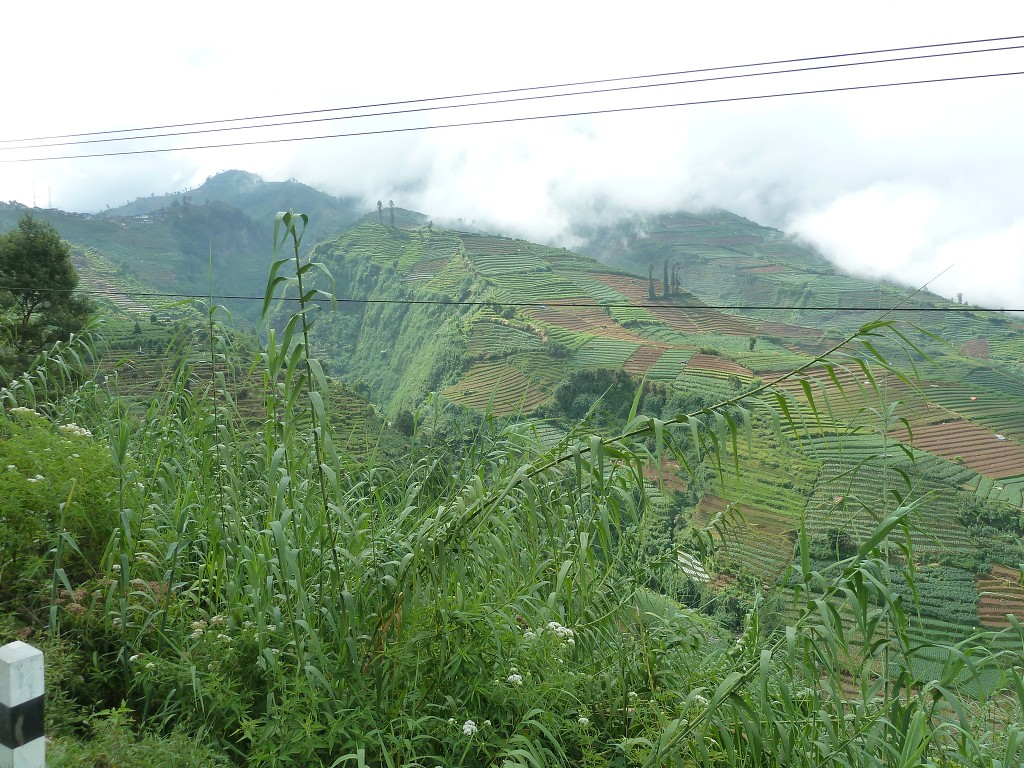 img00096.jpg