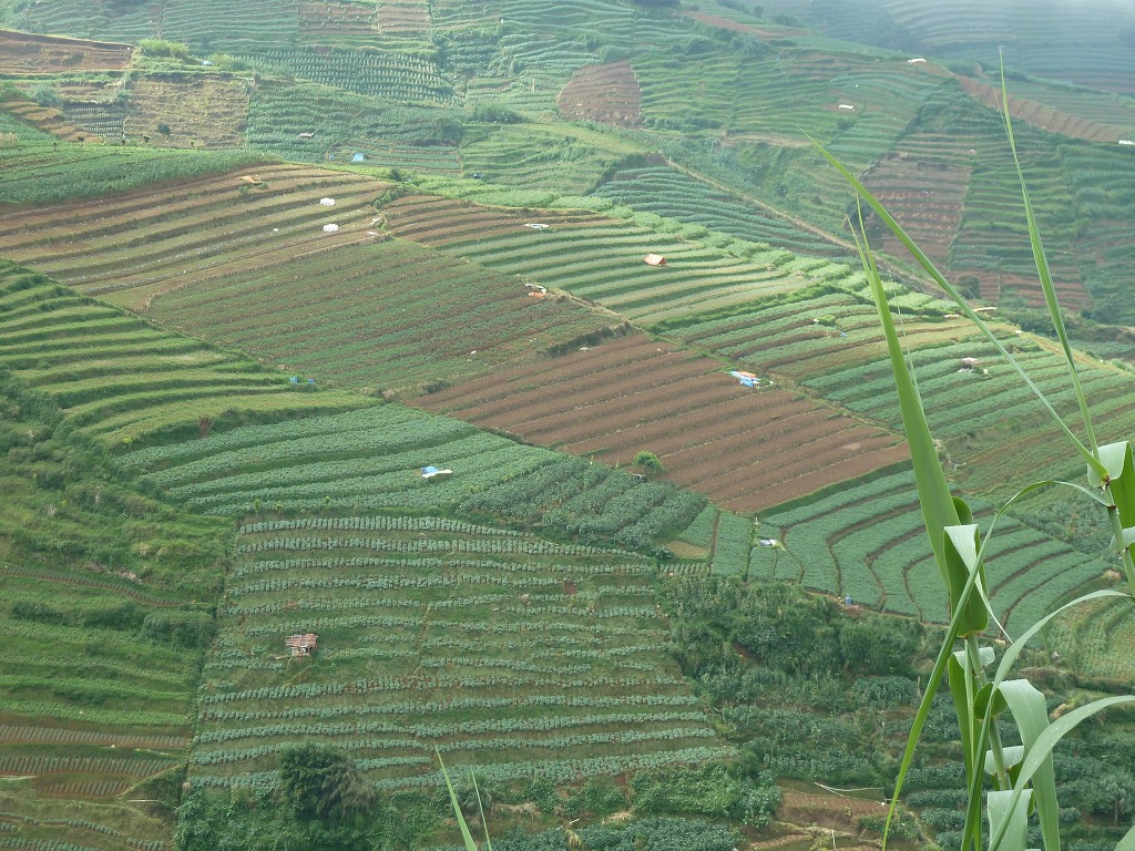 img00097.jpg