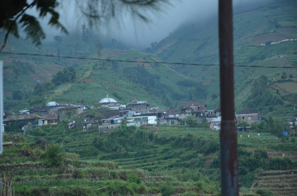 img00099.jpg