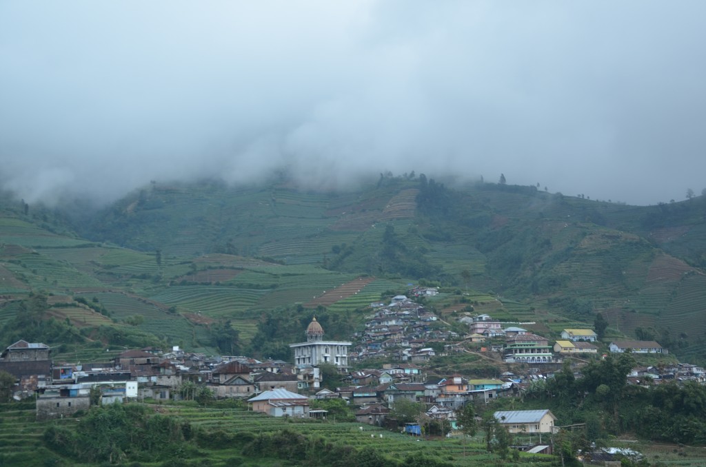 img00100.jpg
