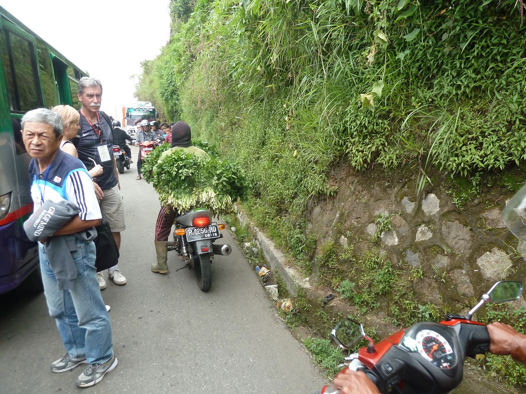 img00101.jpg