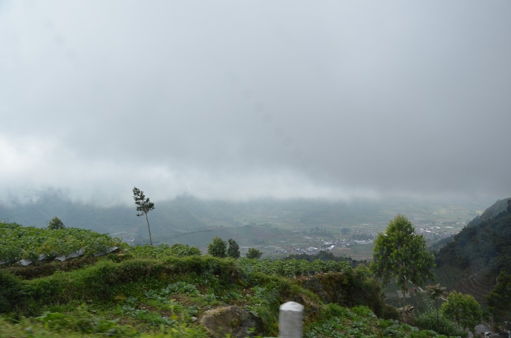 img00102.jpg