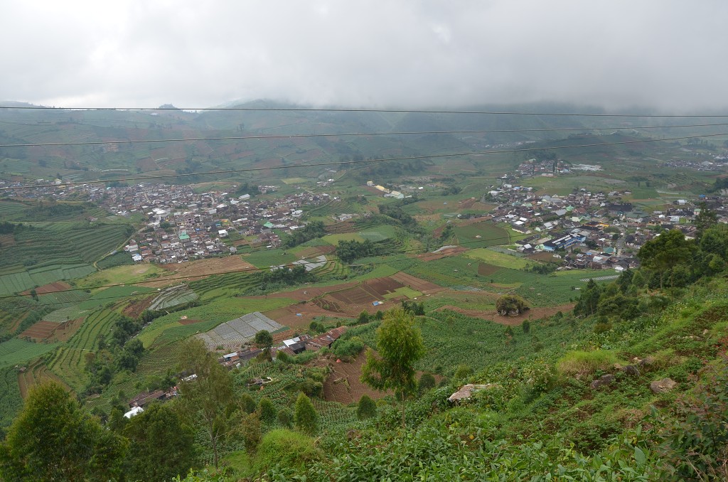 img00104.jpg