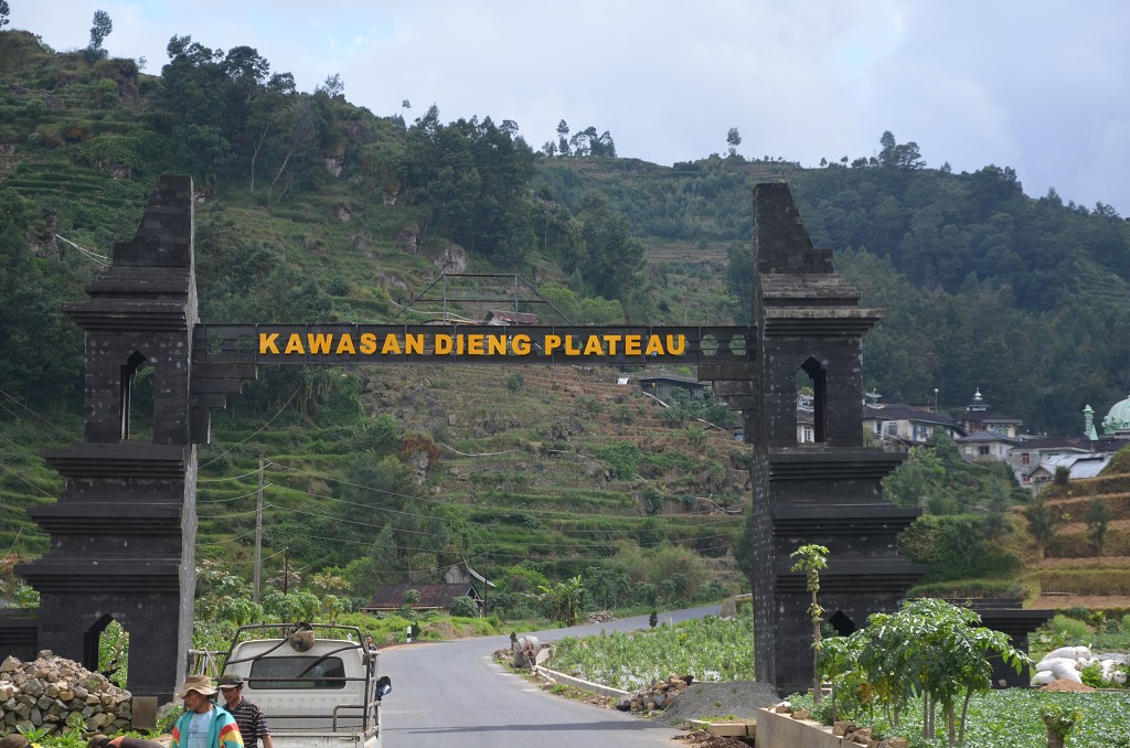 img00117.jpg