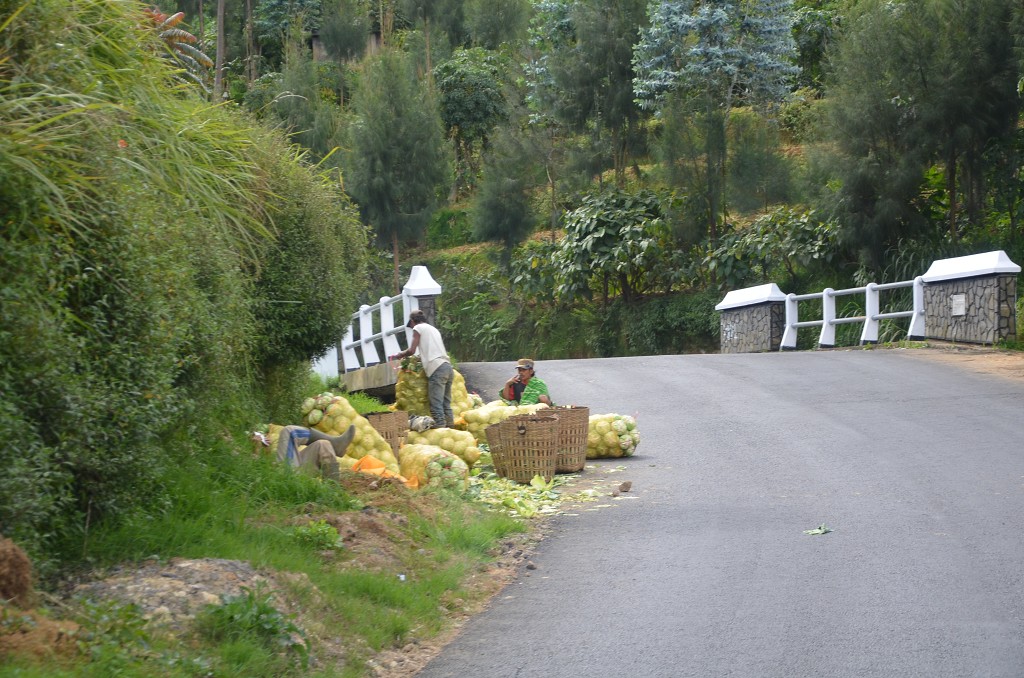img00118.jpg