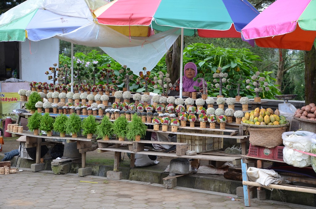 img00142.jpg