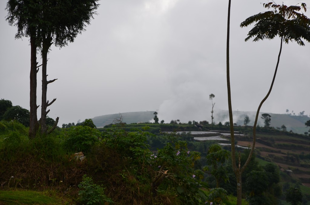 img00143.jpg