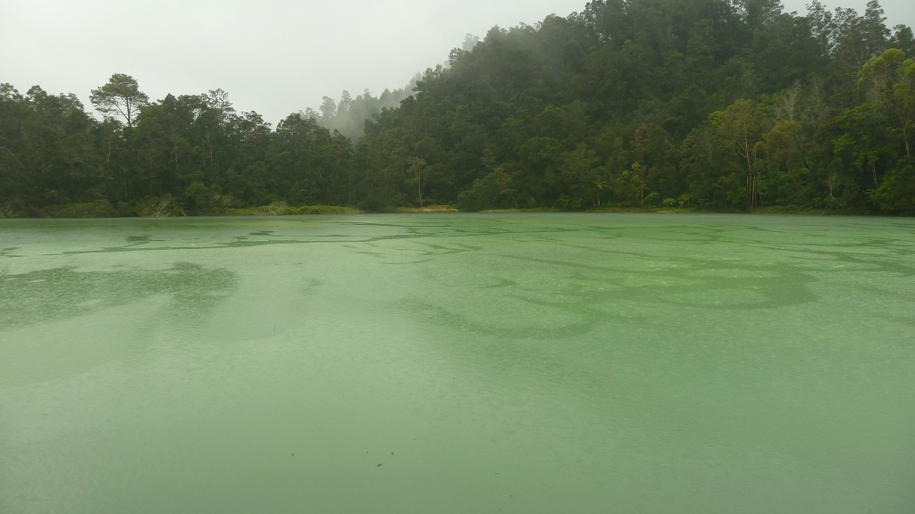 img00163.jpg
