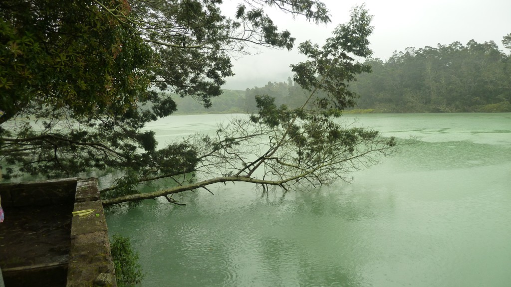 img00164.jpg