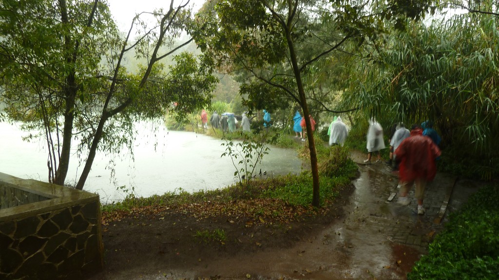 img00165.jpg