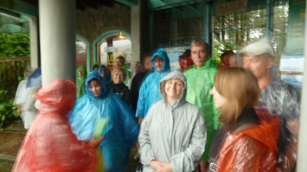 img00167.jpg