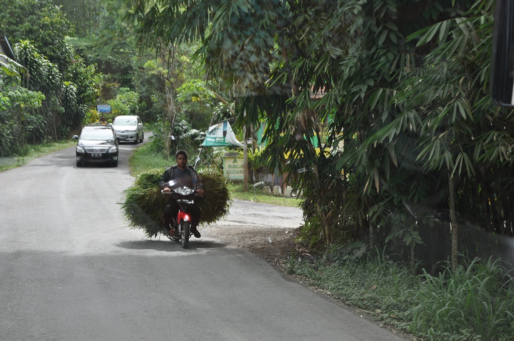 img00171.jpg