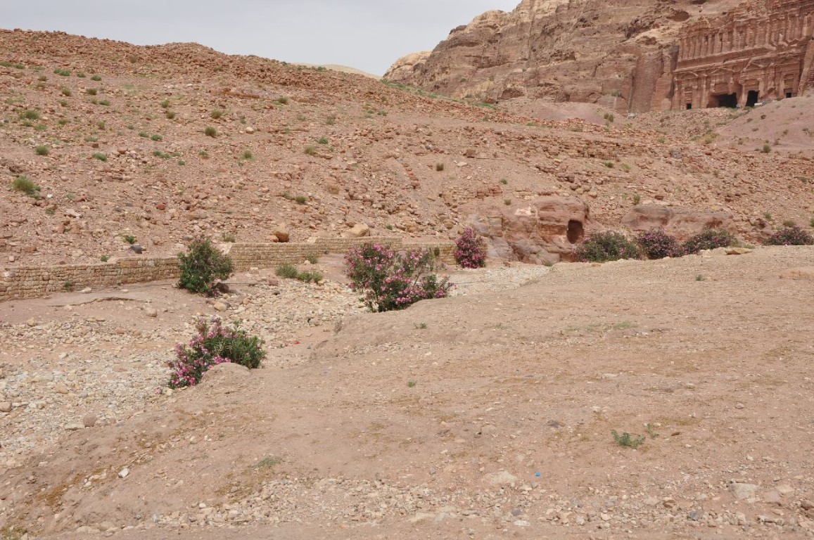 img00113.jpg